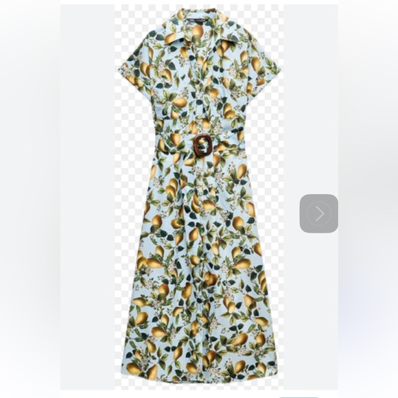 Zara Dresses & Skirts - Zara Fruit Print midi Dress with Belt